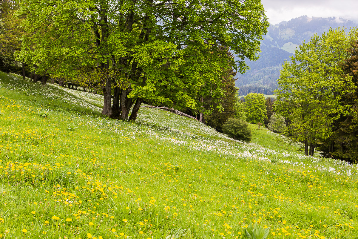 025