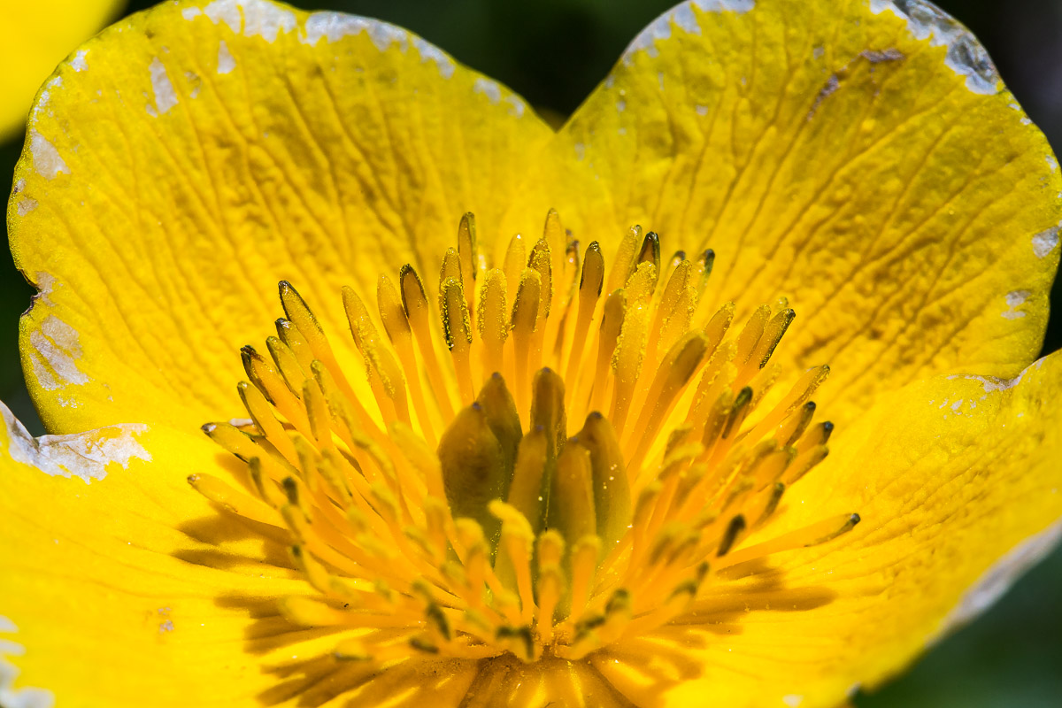 042