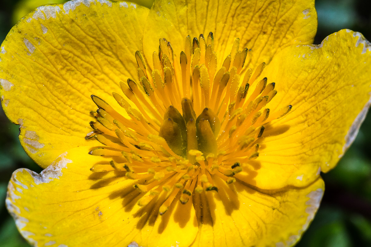 045