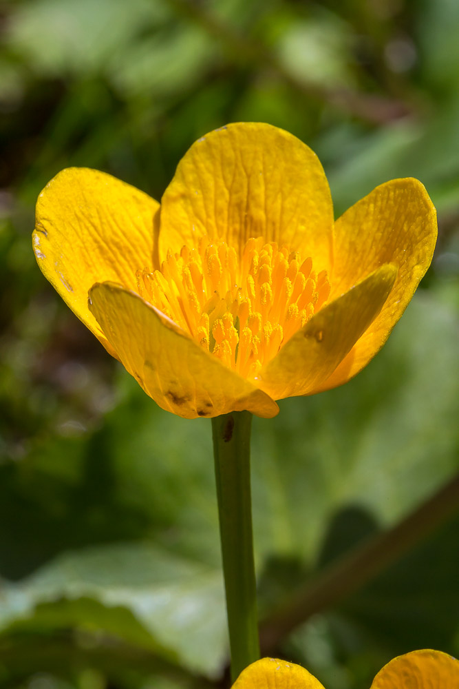 049