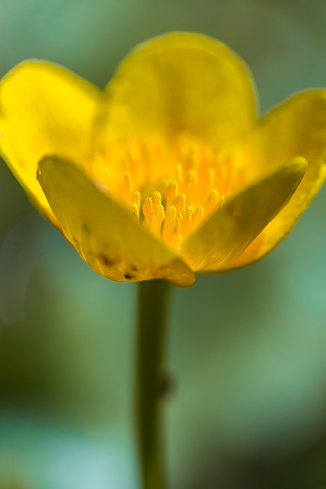 052