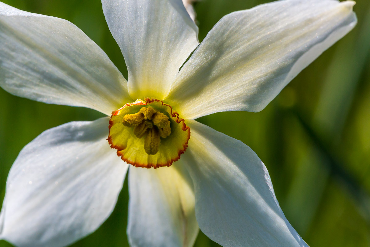 058