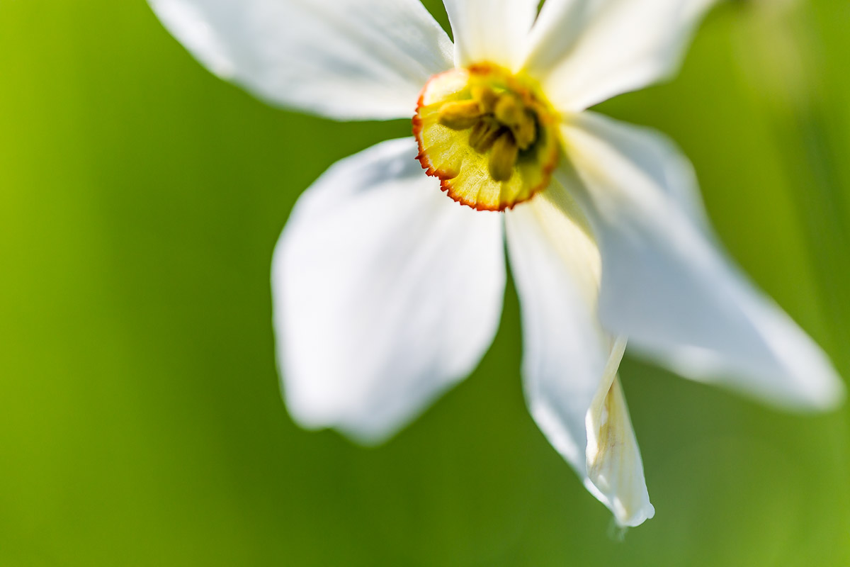 063