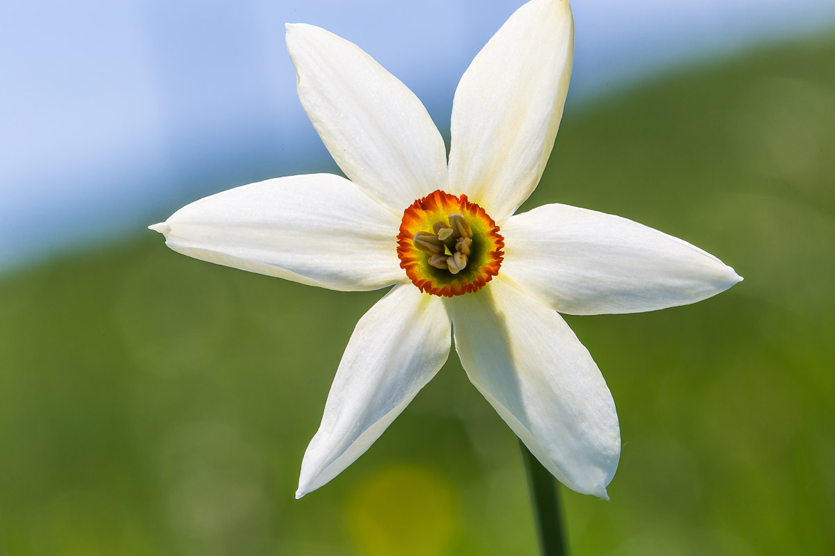 065