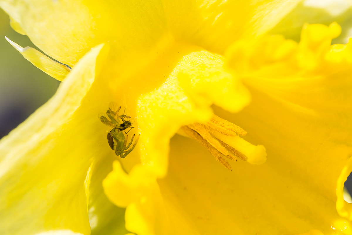 094