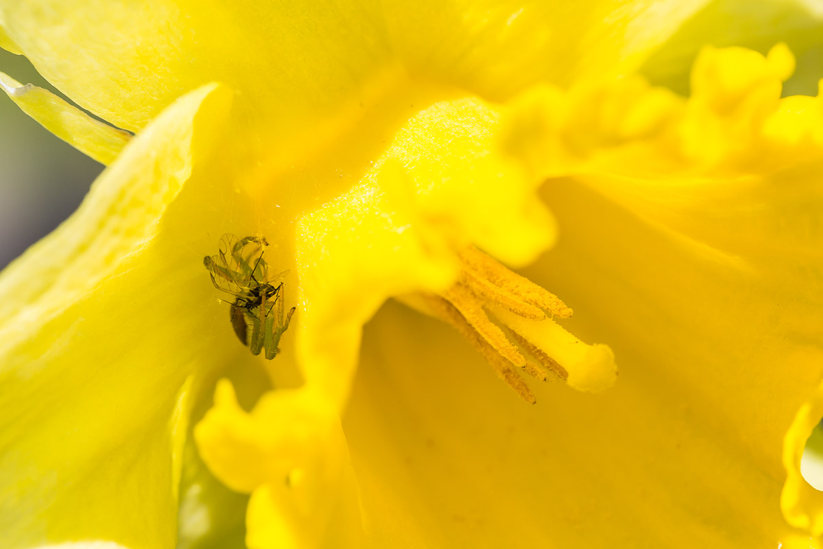 095