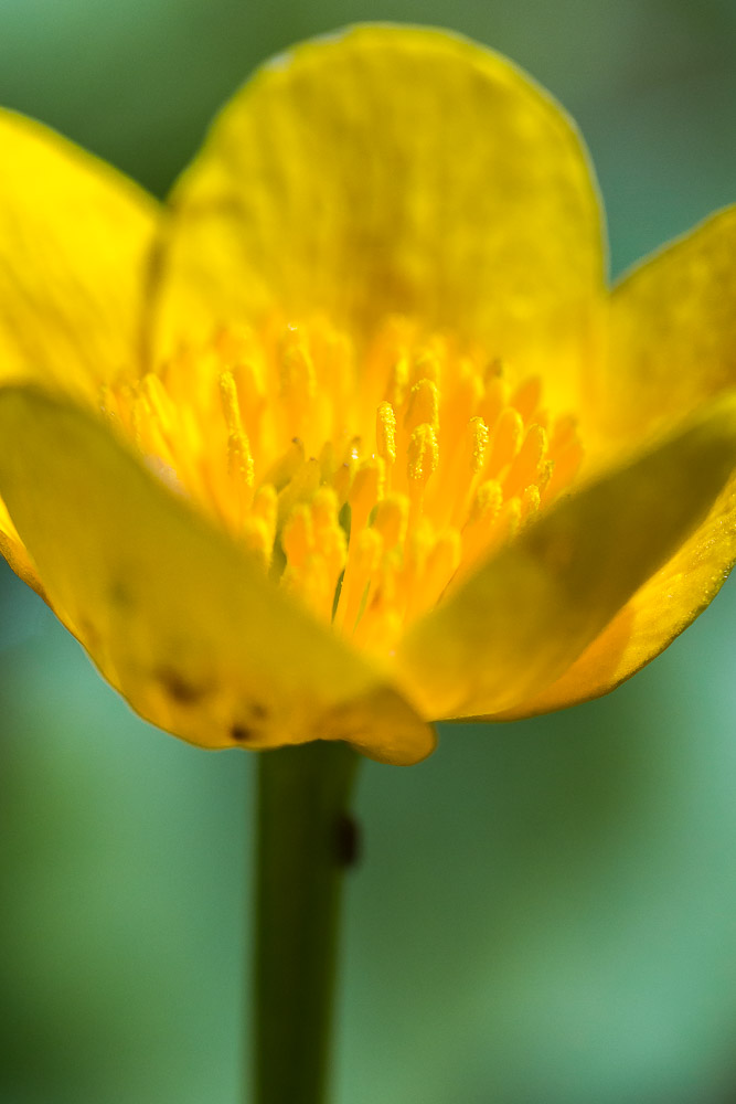 051