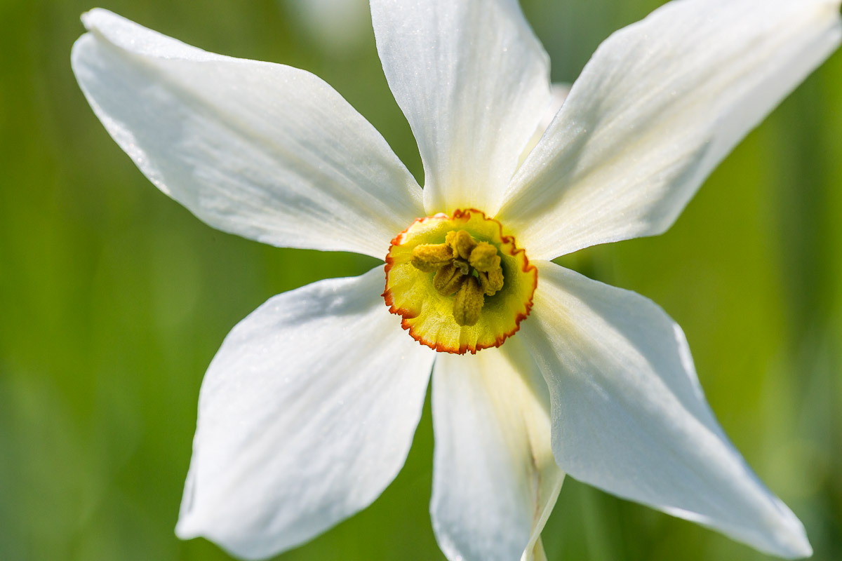 061