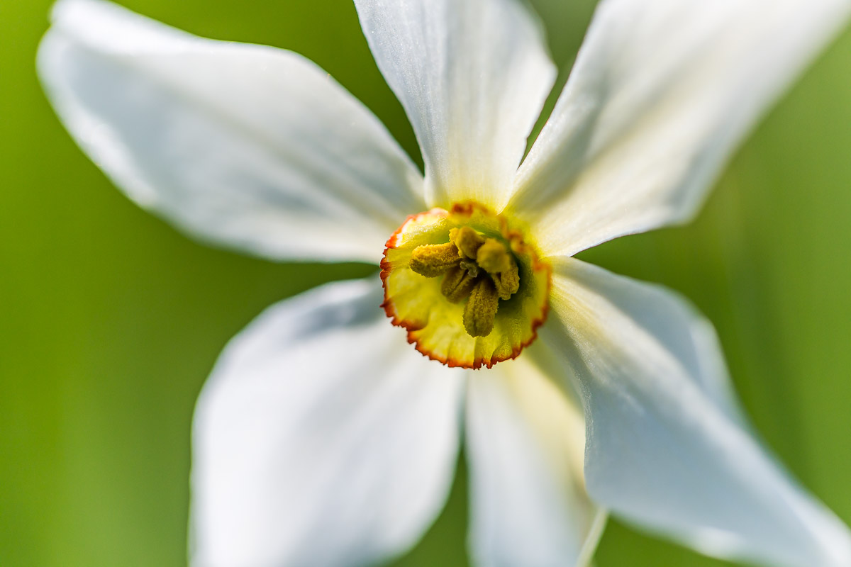 062