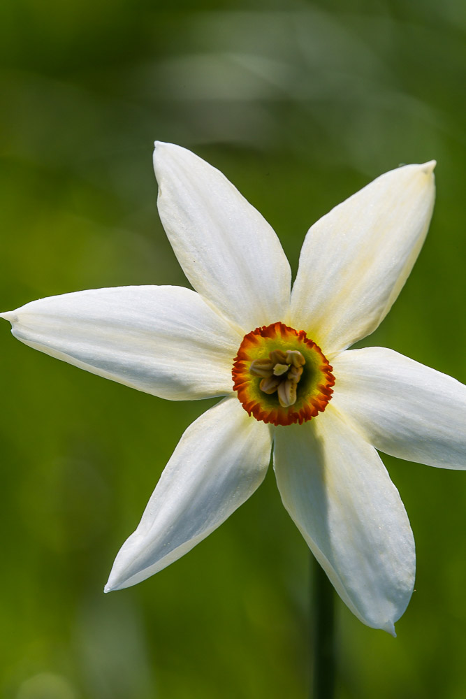 064