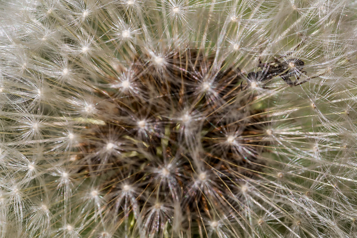 107
