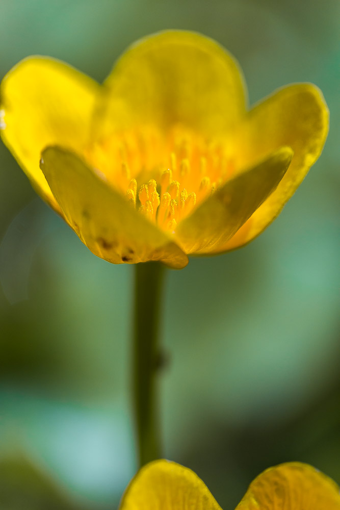 021