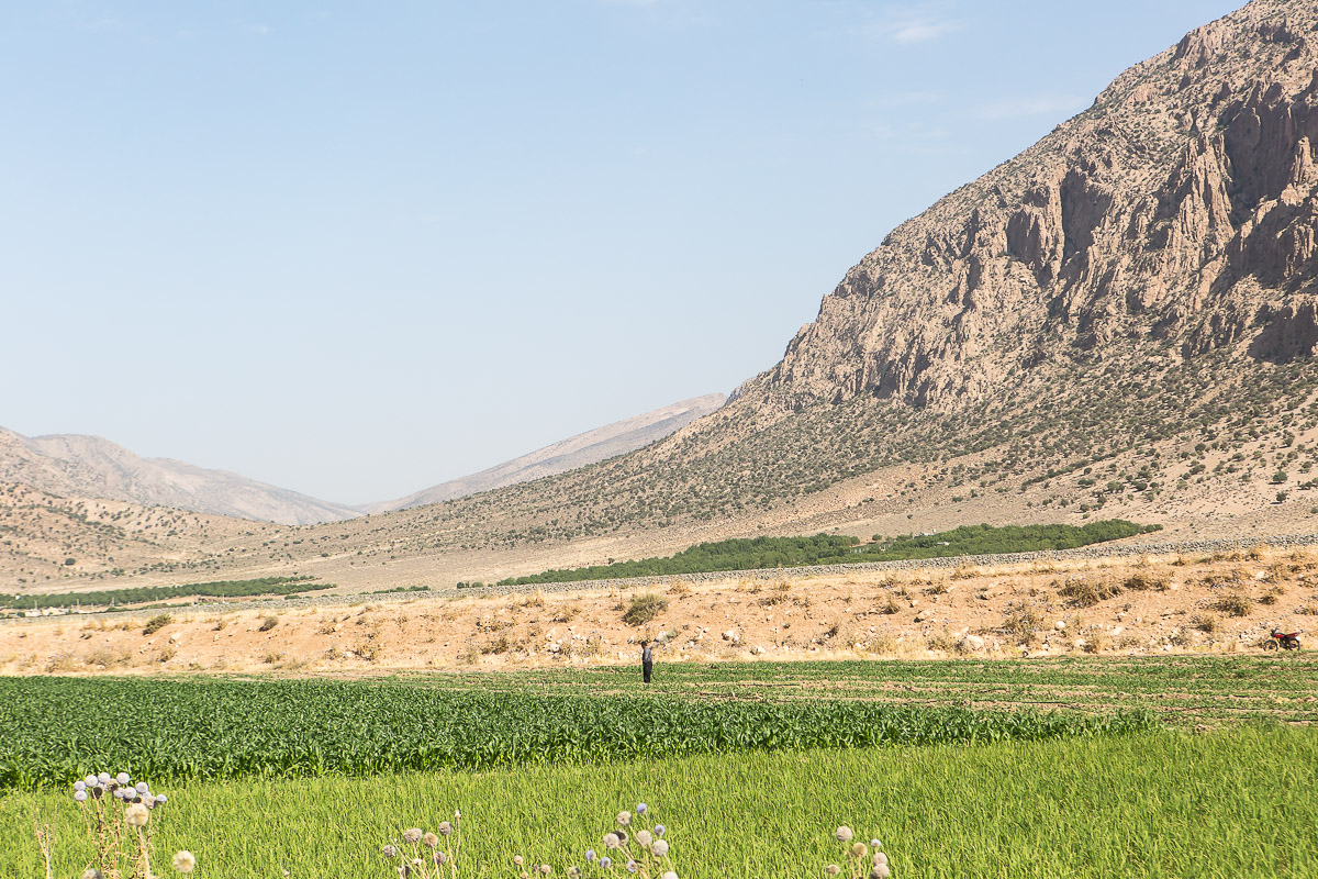 403