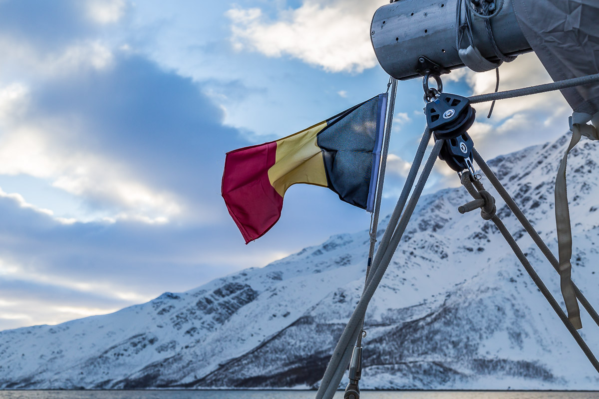 113