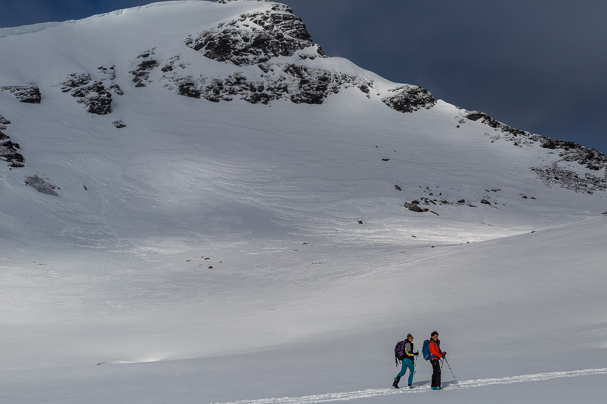 238