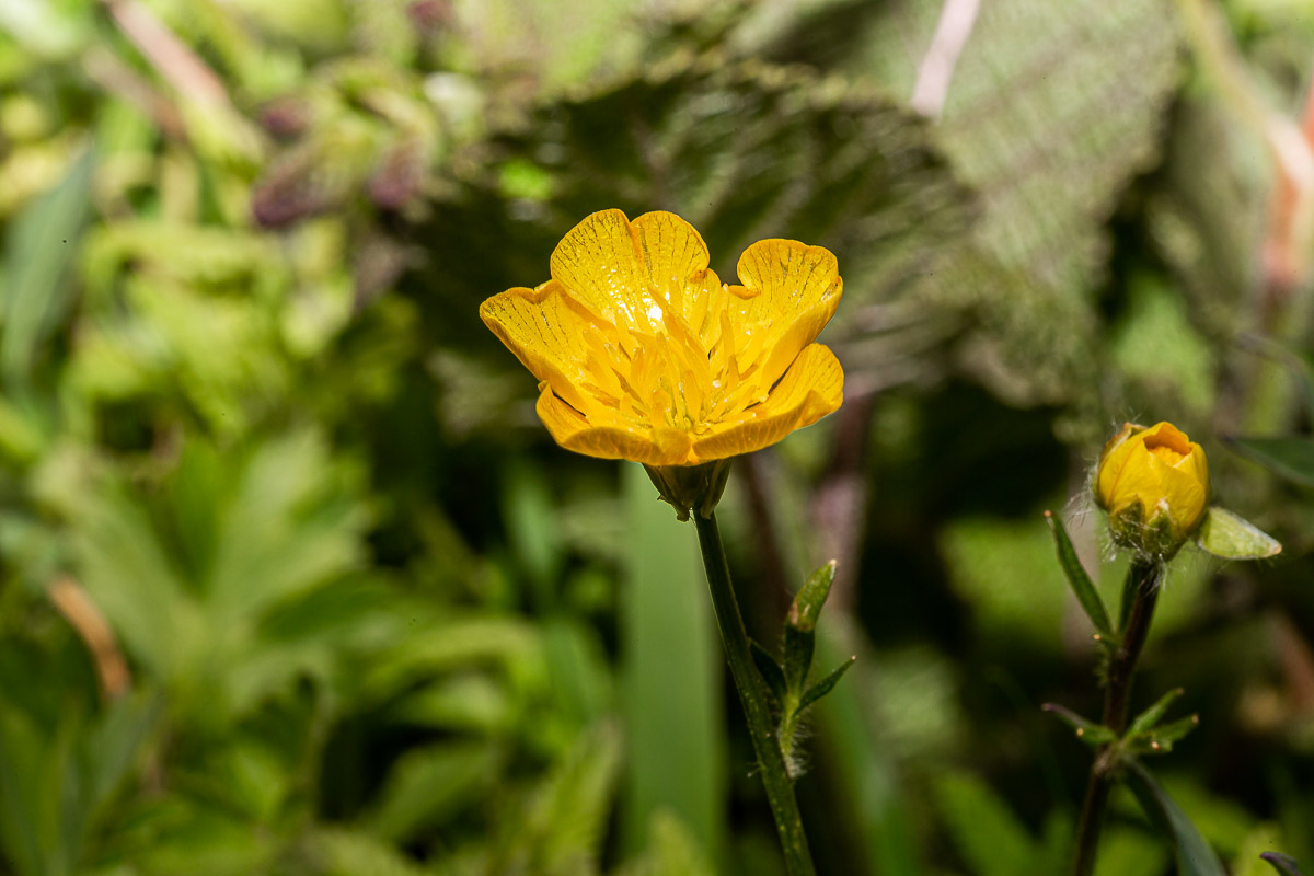 027
