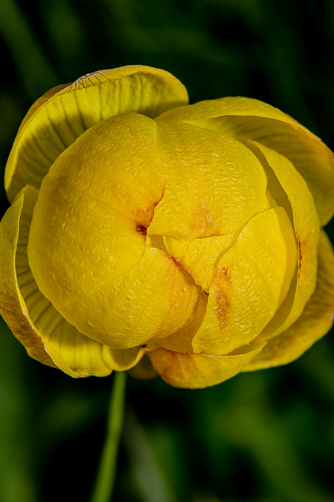 077