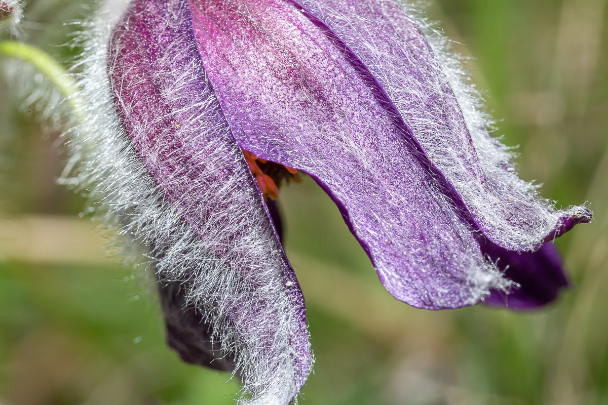 087