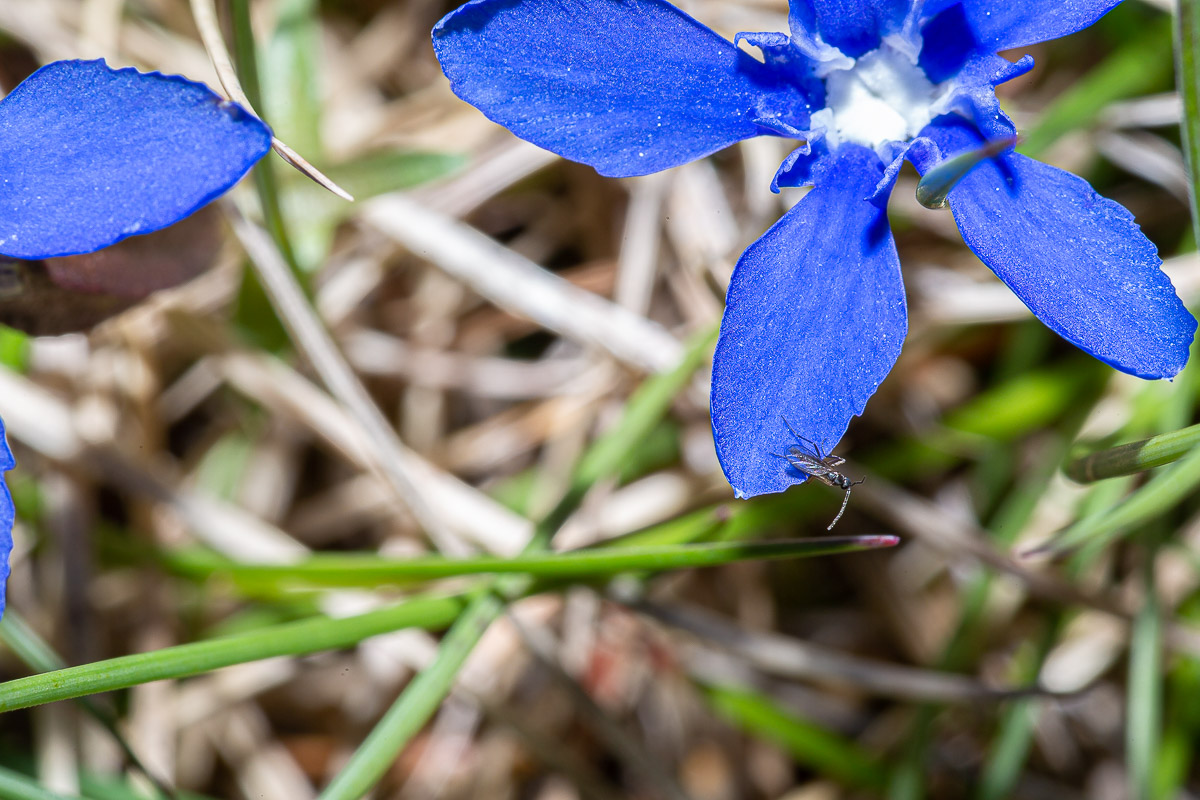 095
