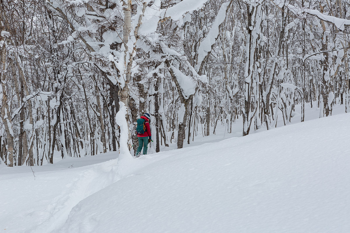 207