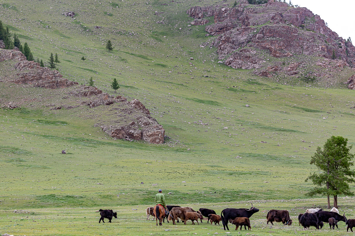 229