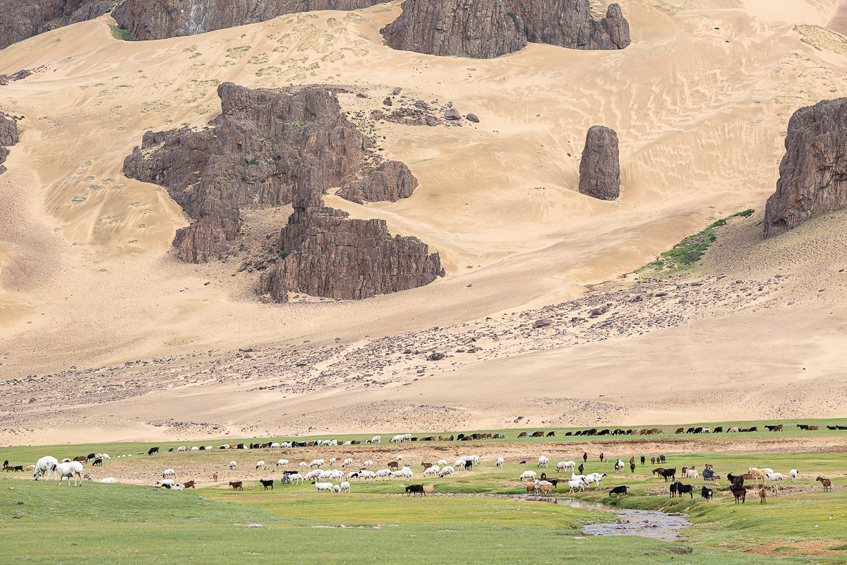 369