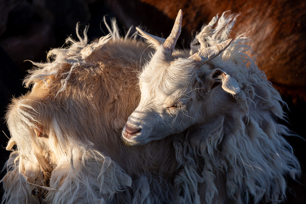181