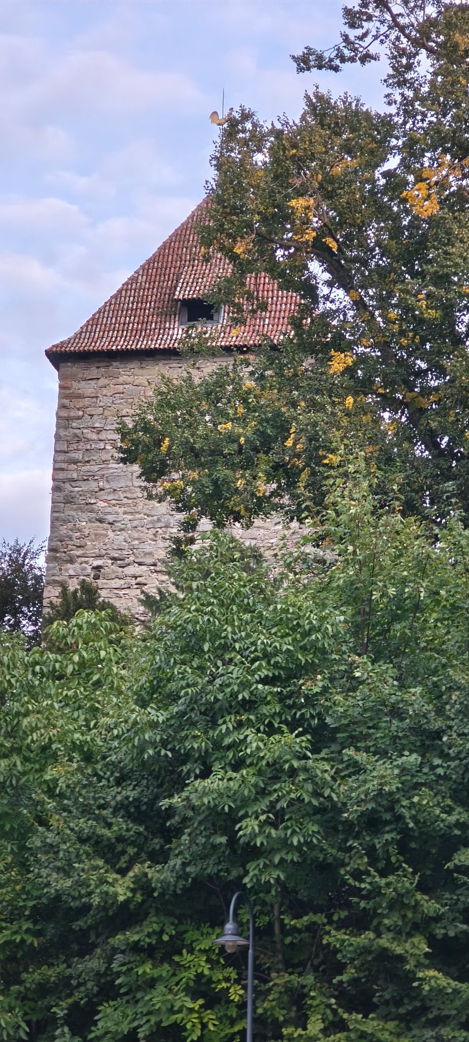 IMG 20260920 183748651 HDR