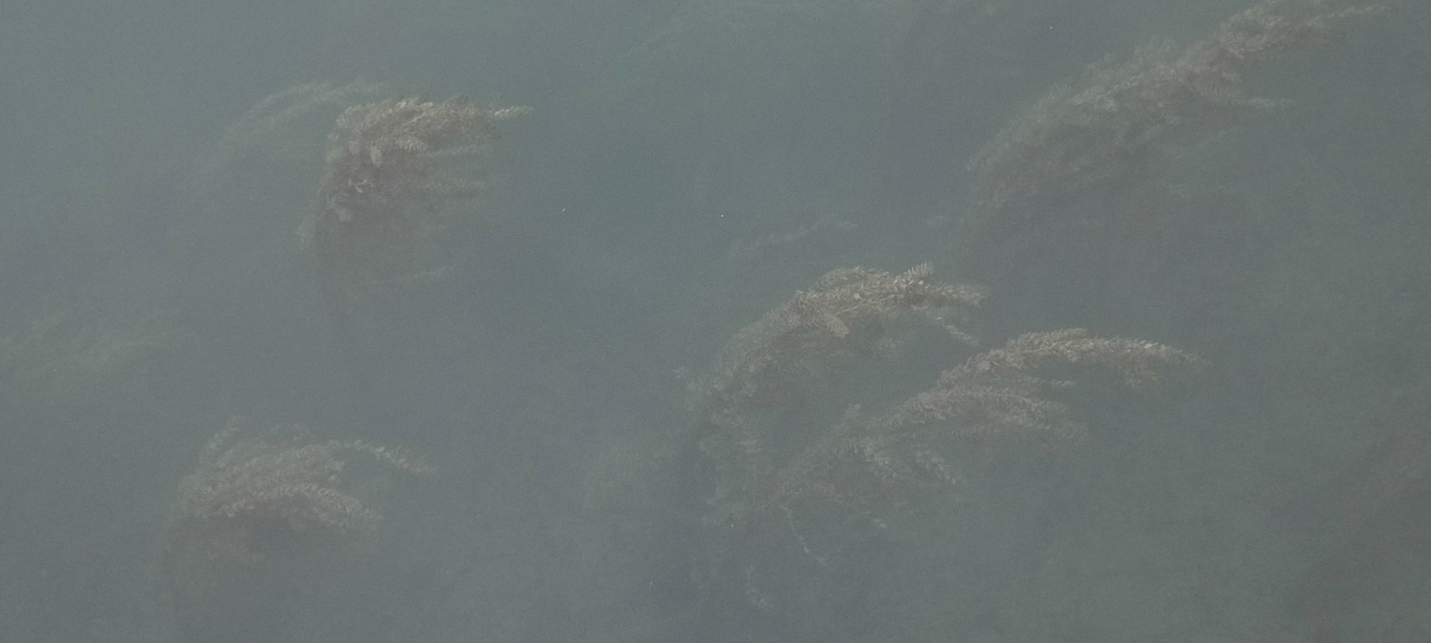 IMG 20260921 095734894