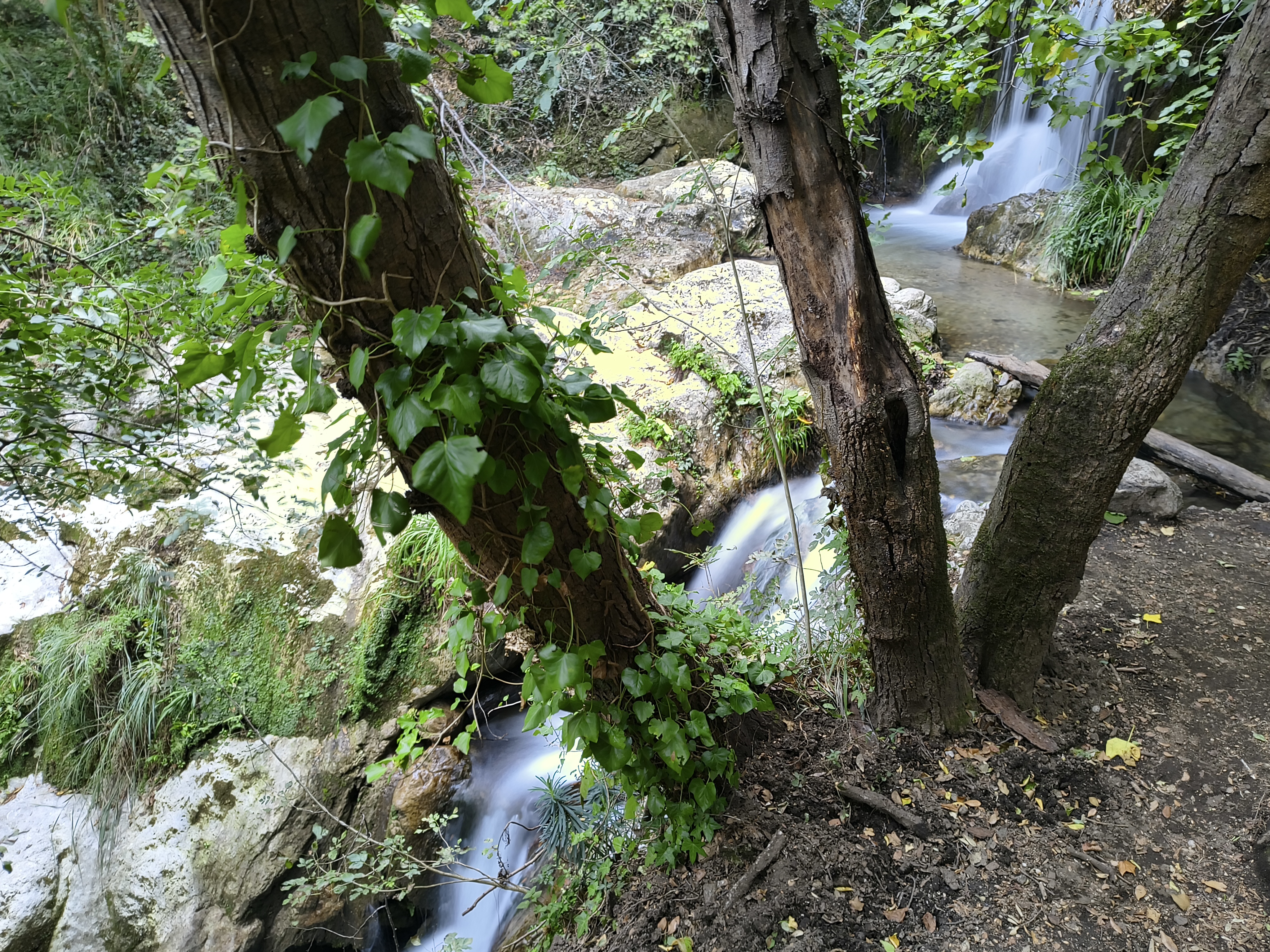 IMG 20261015 152337585