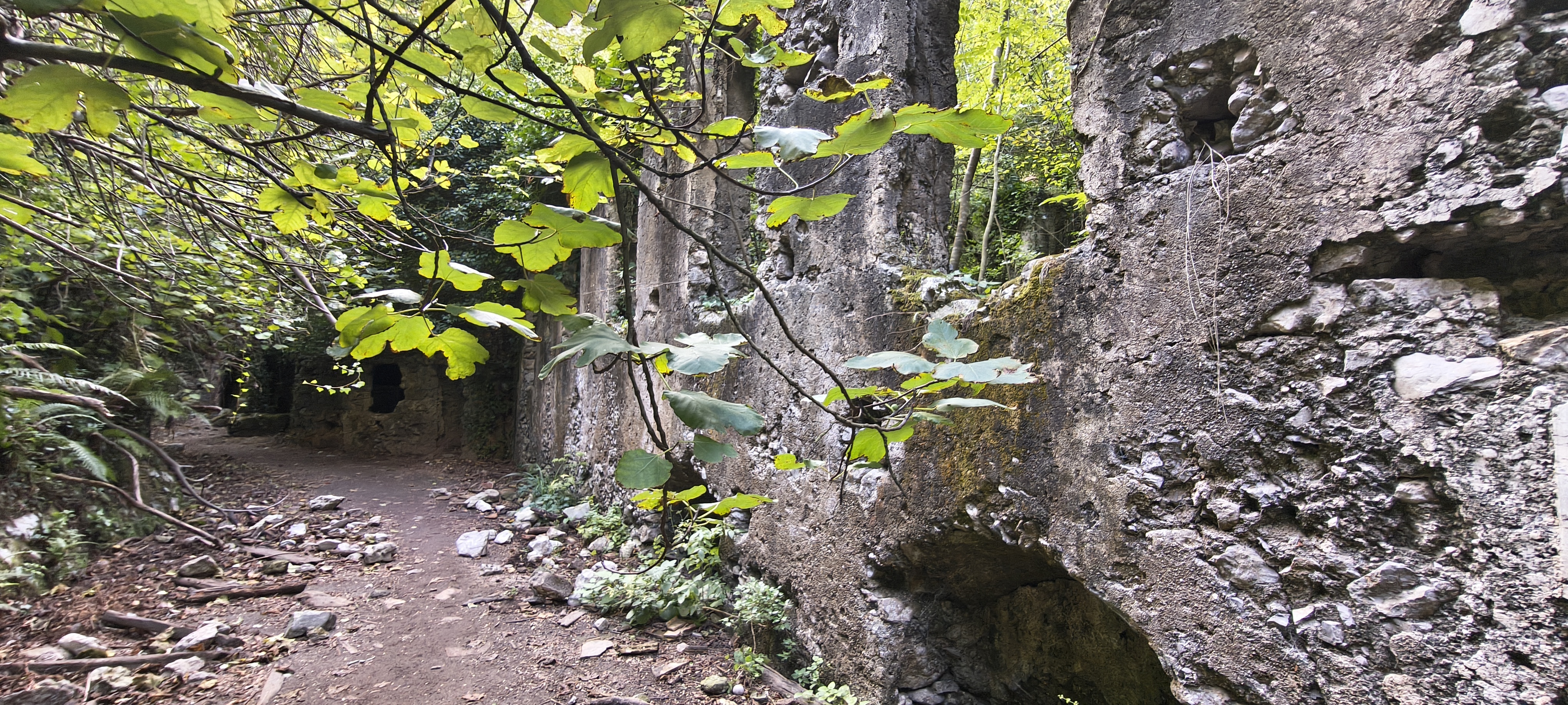 IMG 20261015 153908827 HDR