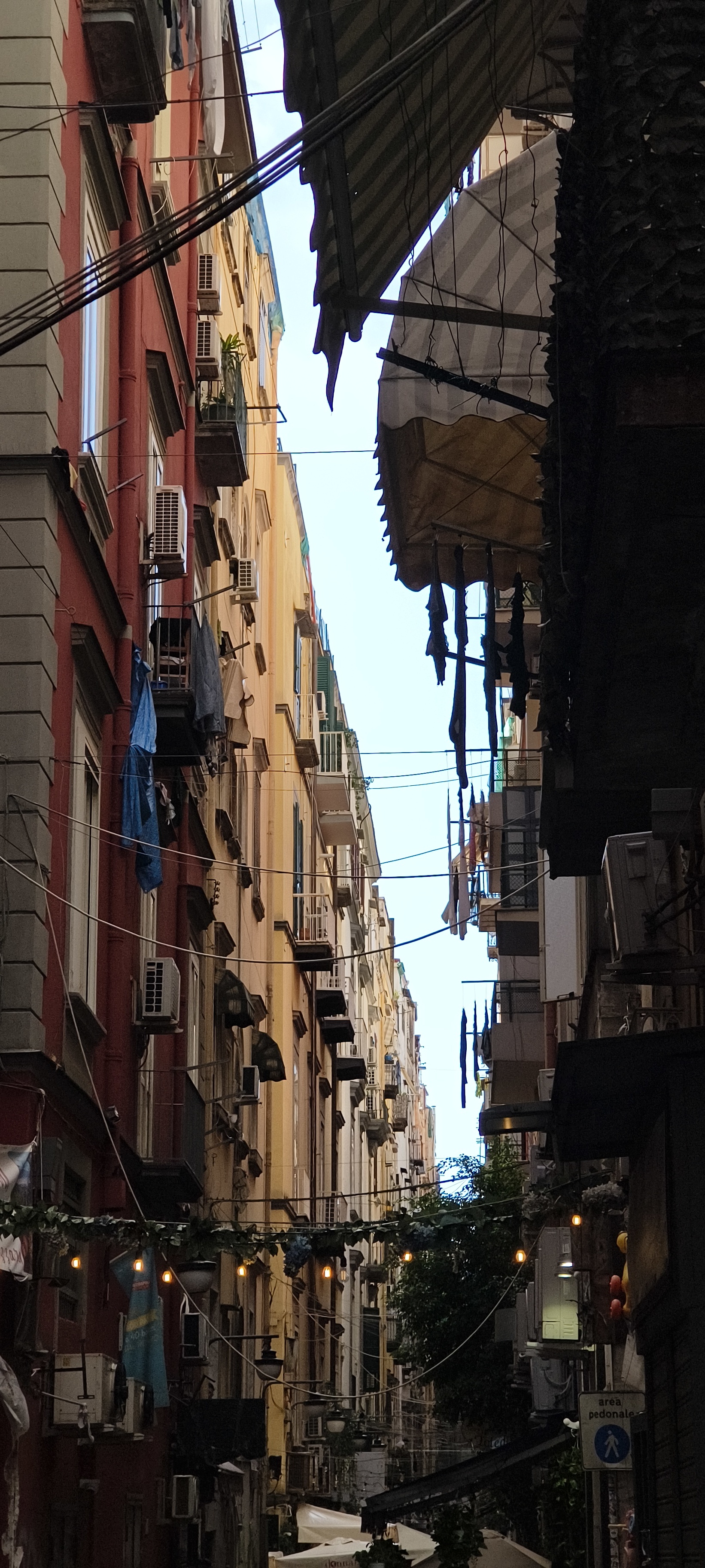 IMG 20261011 103416887