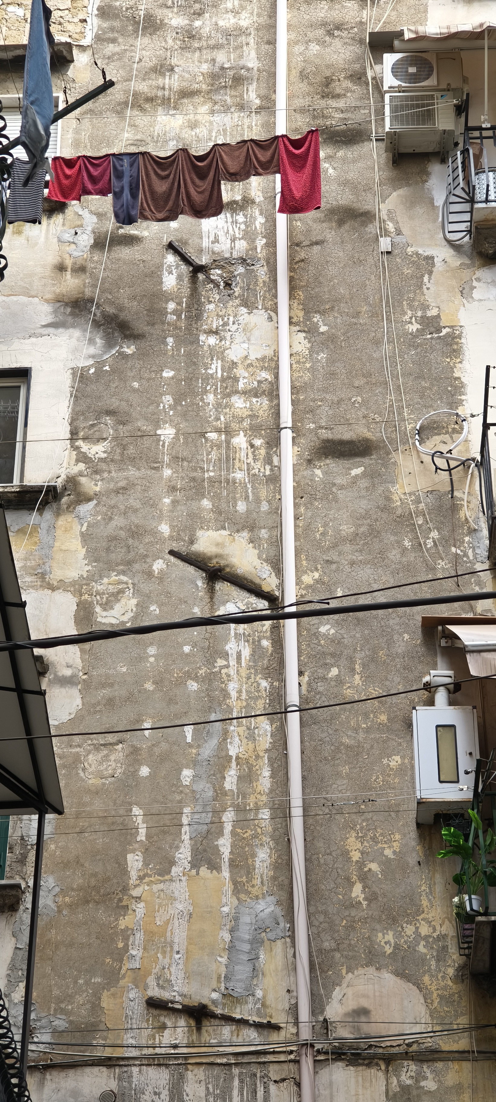 IMG 20261011 104111177 HDR