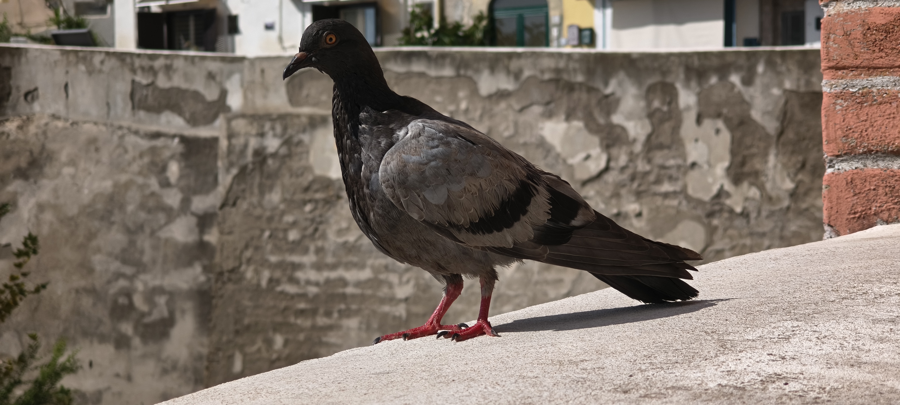 IMG 20261011 114114402 HDR