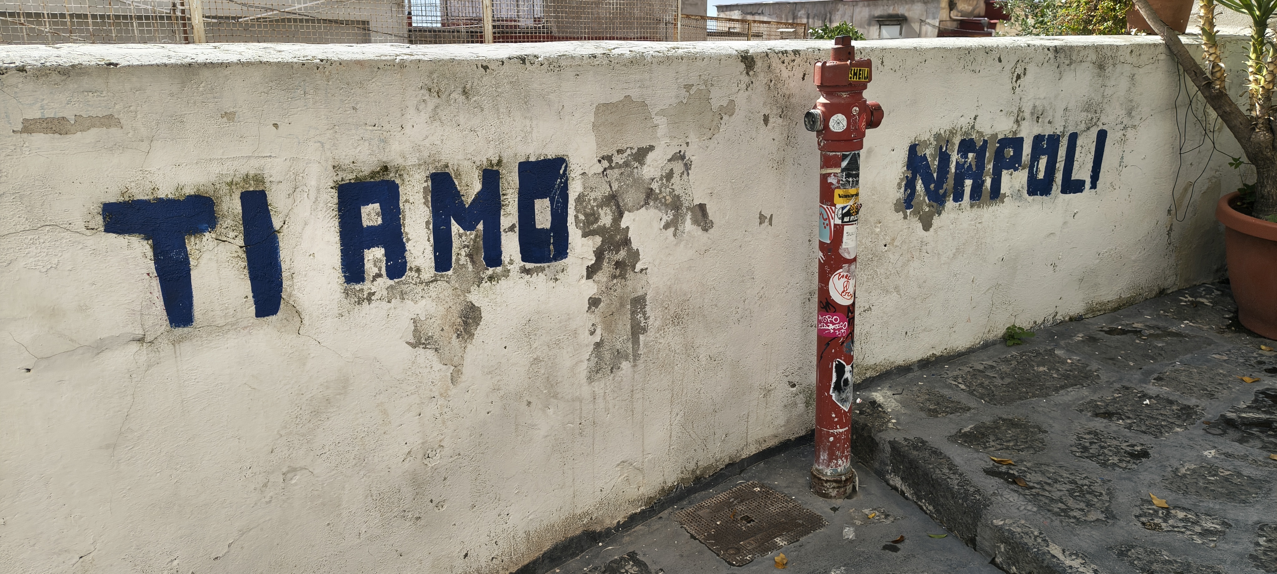 IMG 20261011 114303271 HDR