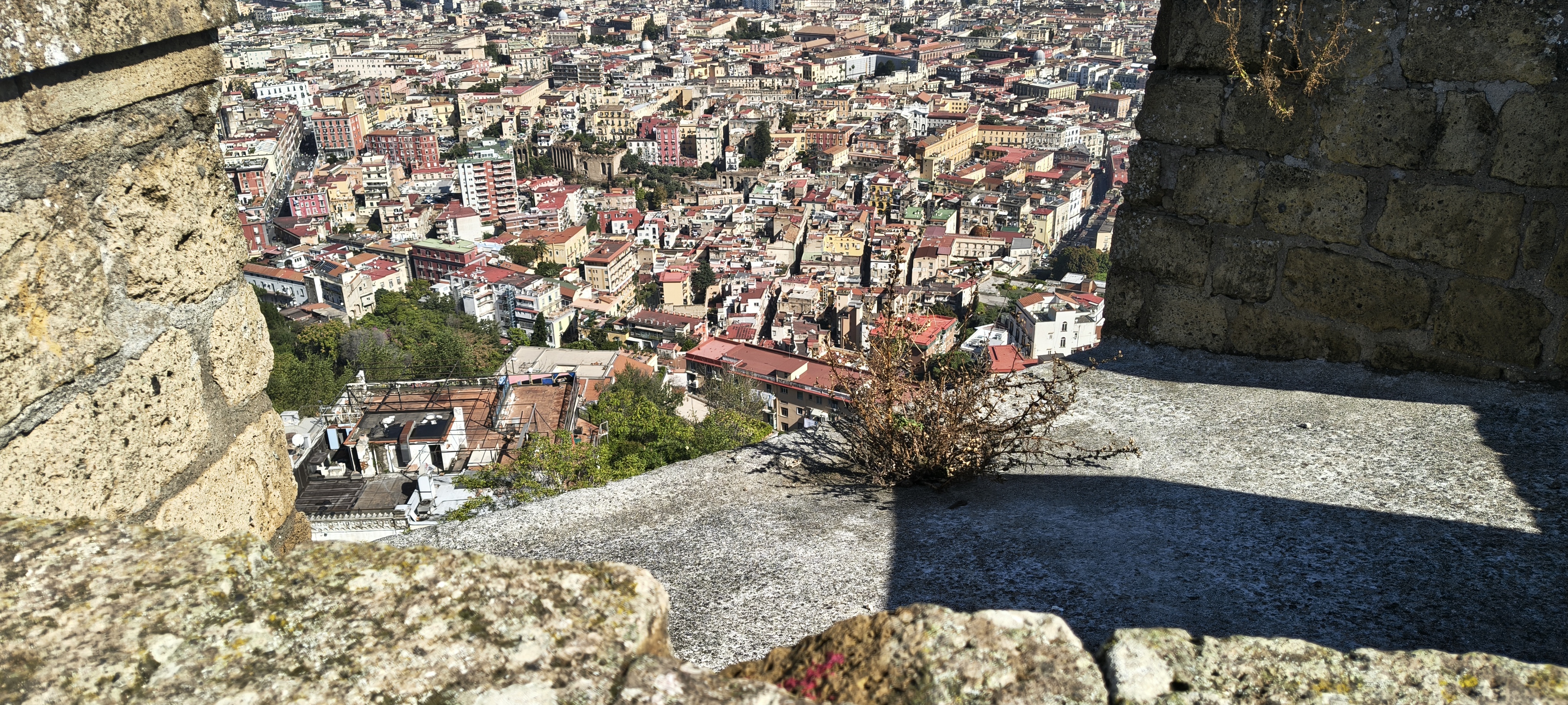 IMG 20261011 121729194 HDR