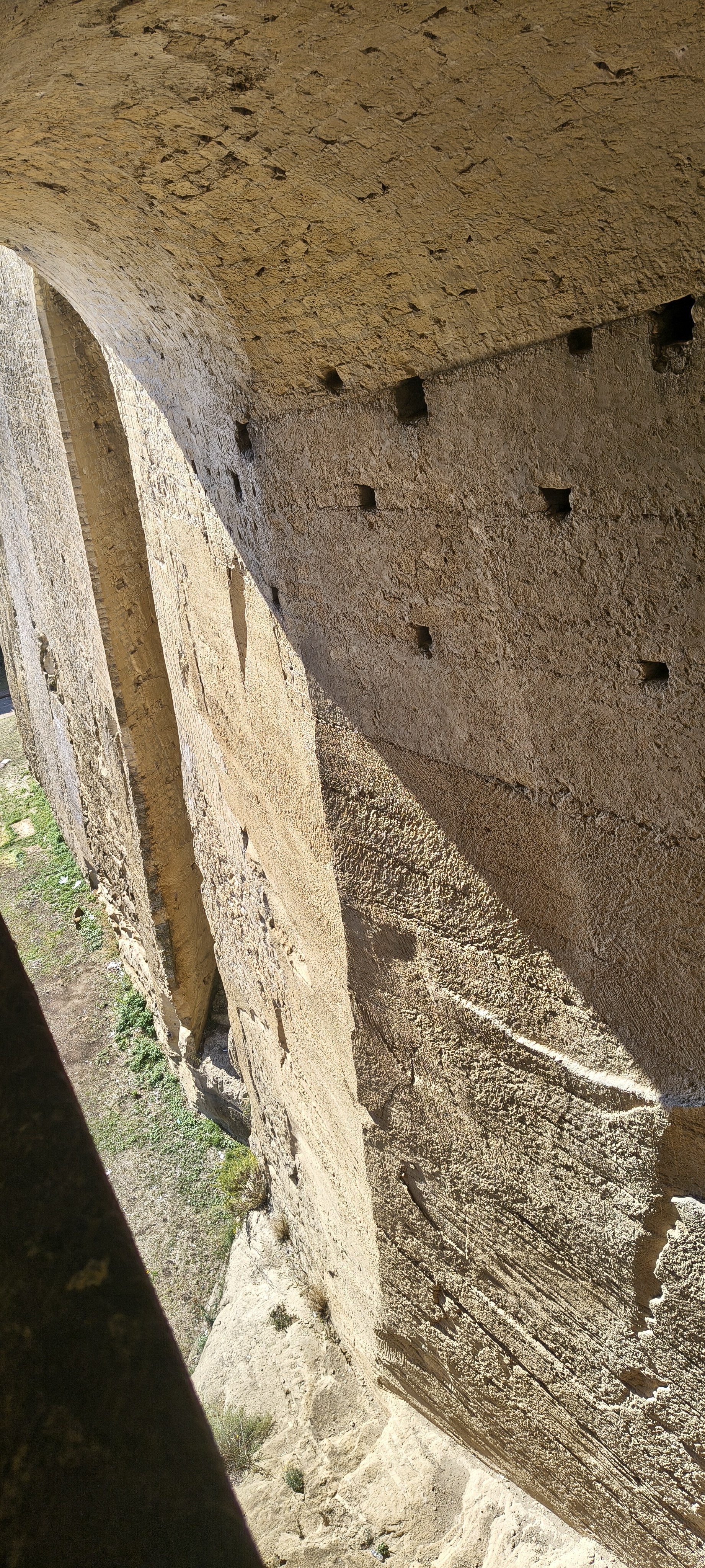 IMG 20261011 130818308 HDR