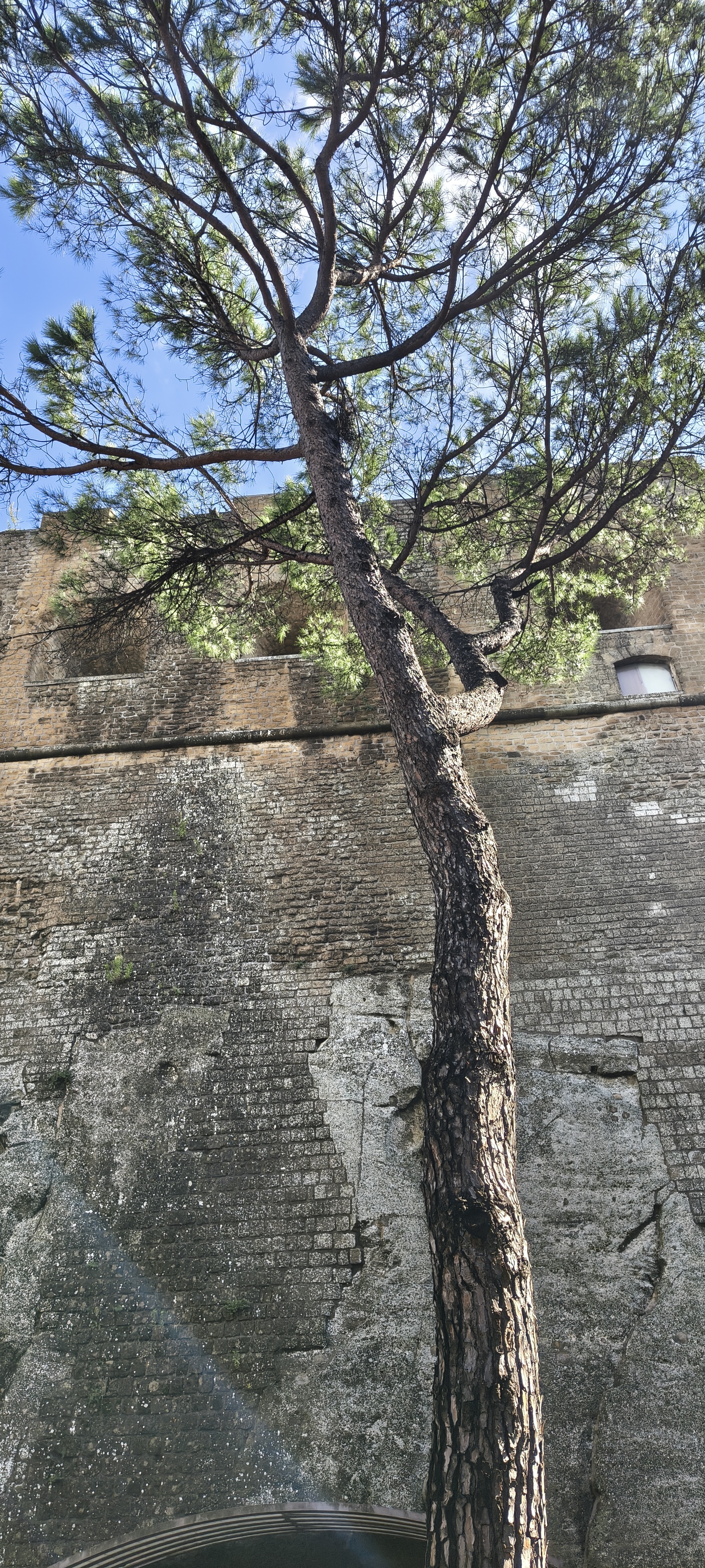 IMG 20261011 132238155 HDR