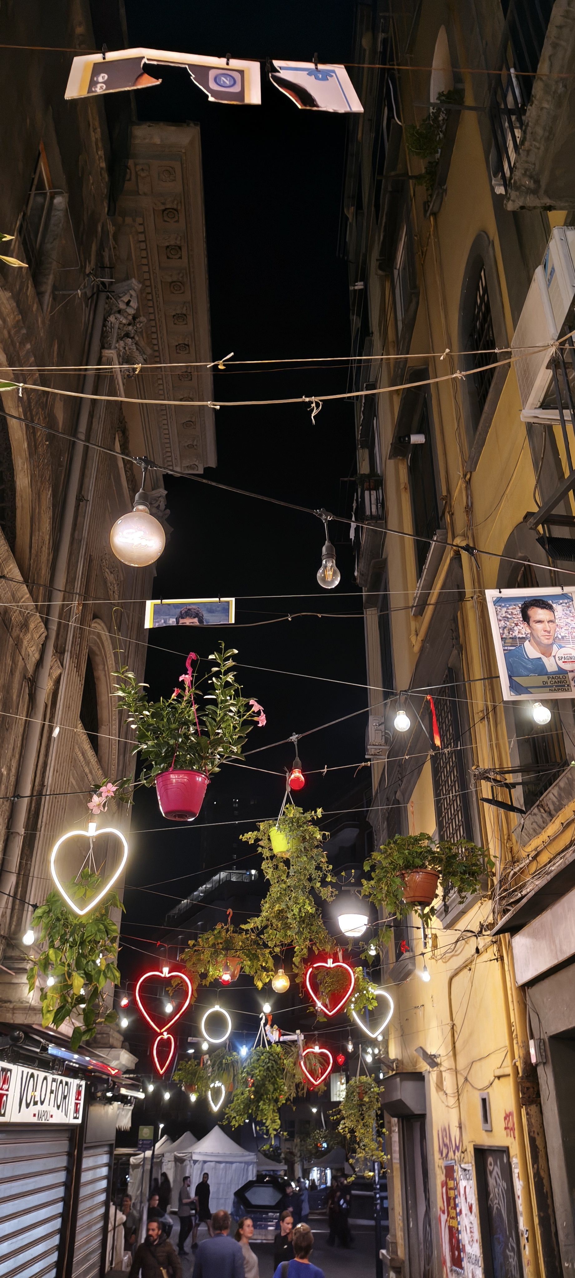 IMG 20261011 215521606 HDR