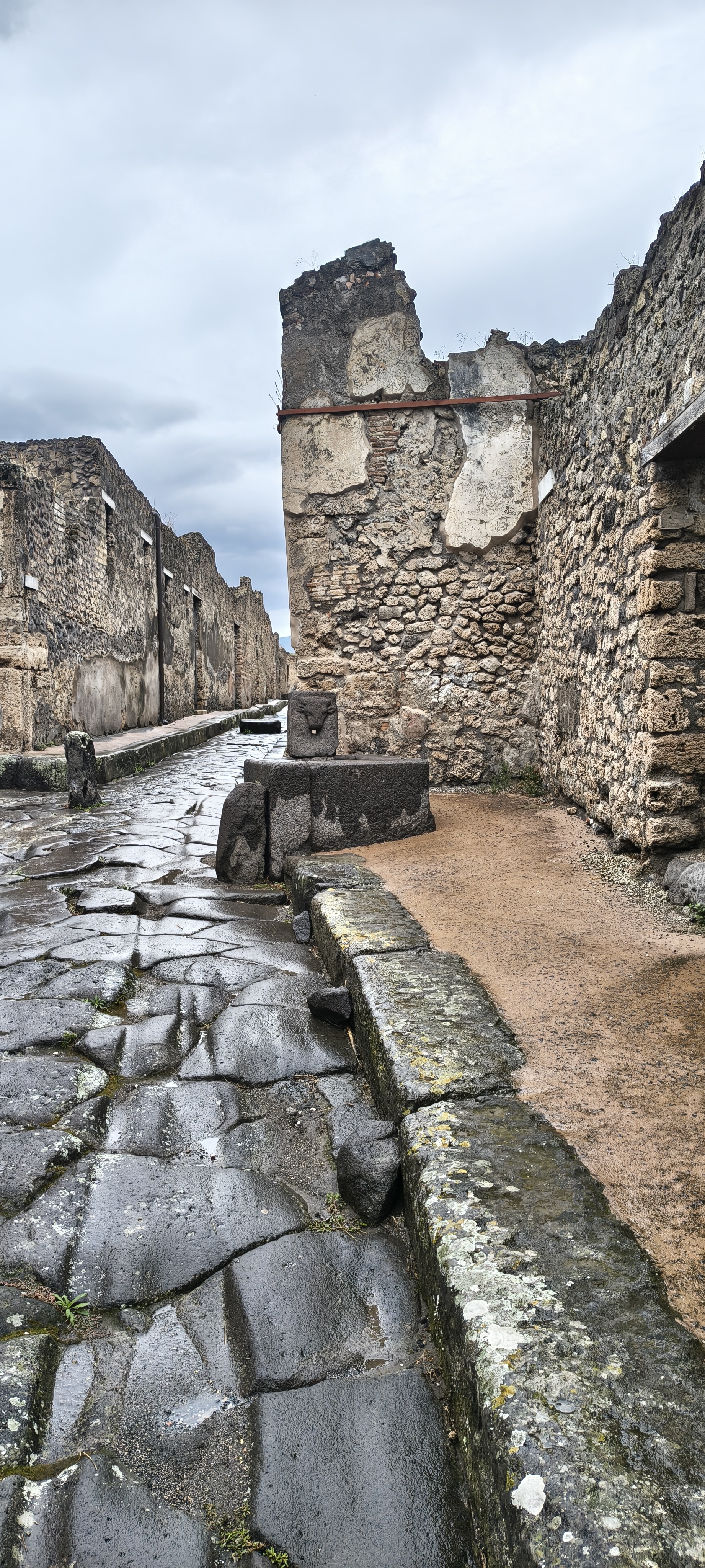 IMG 20261012 121132732 HDR