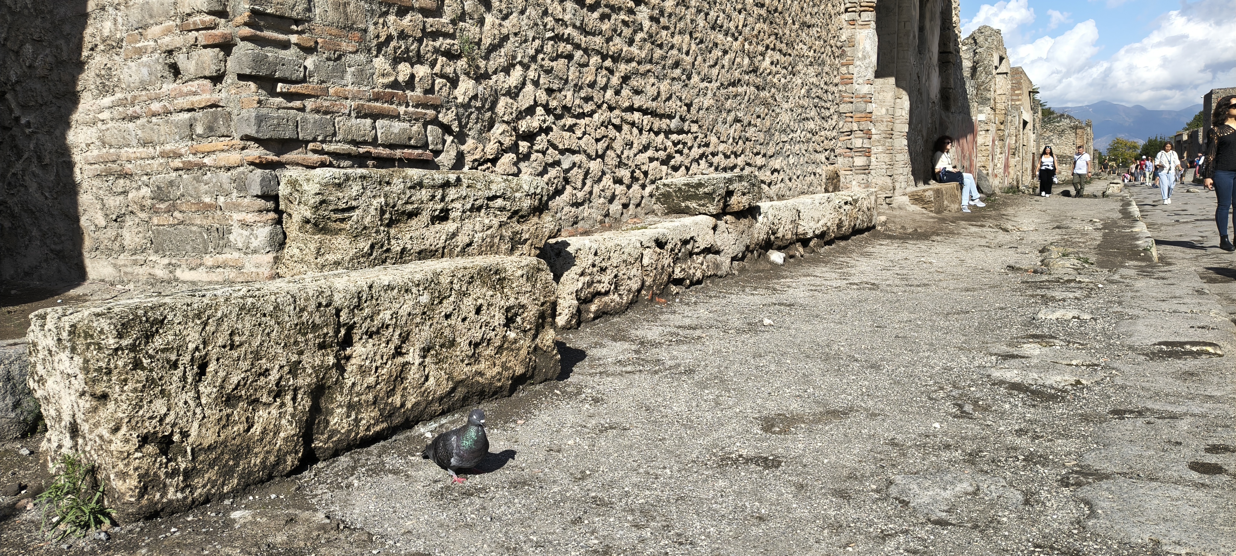 IMG 20261012 144828743 HDR