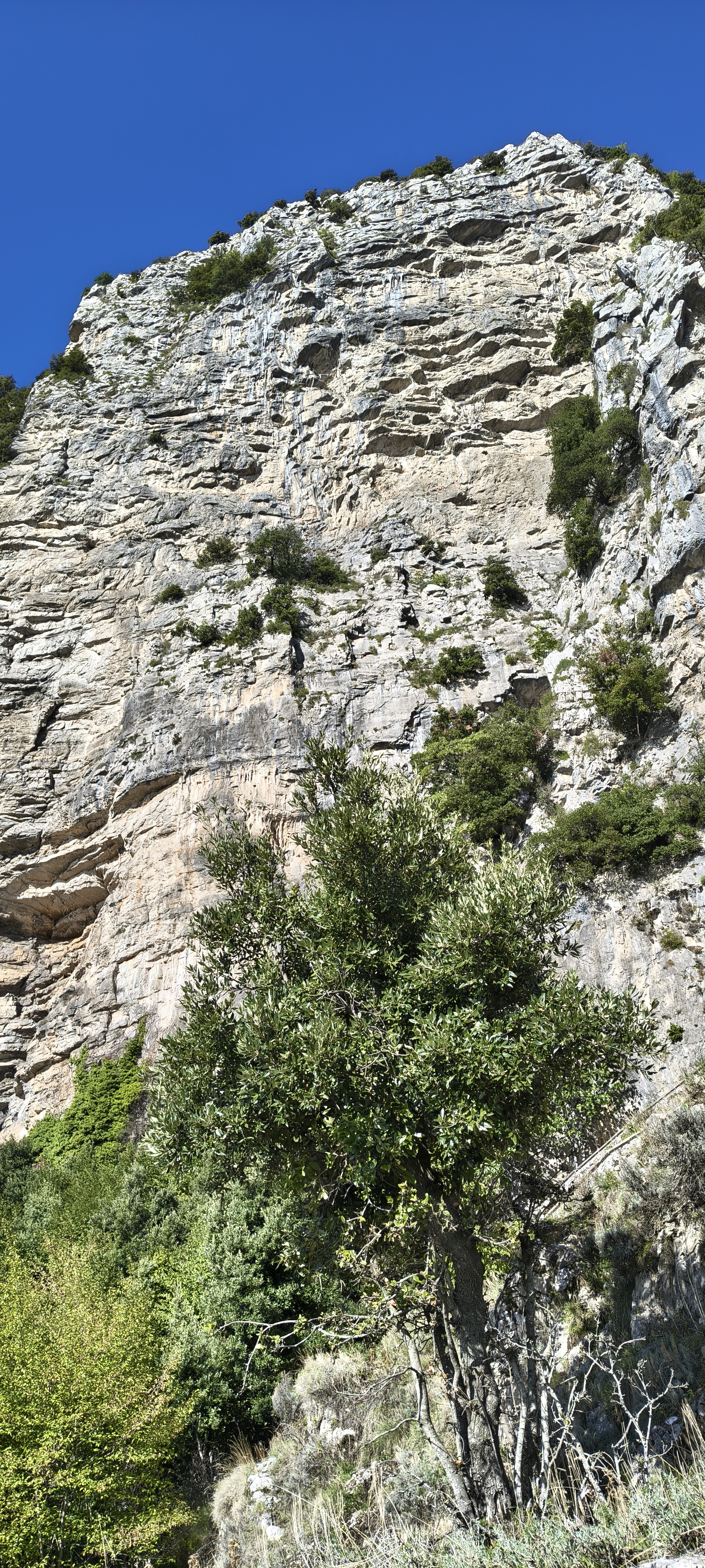 IMG 20261014 095955117 HDR