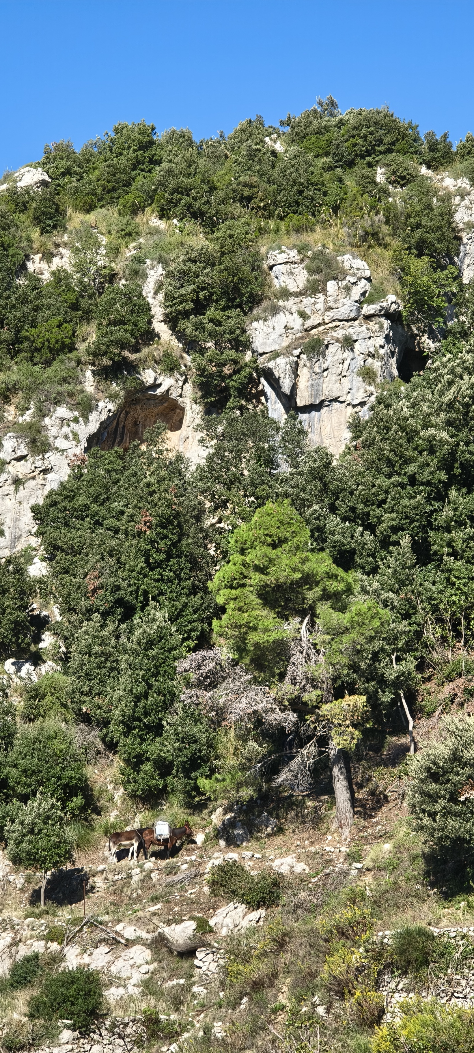 IMG 20261014 102652497 HDR