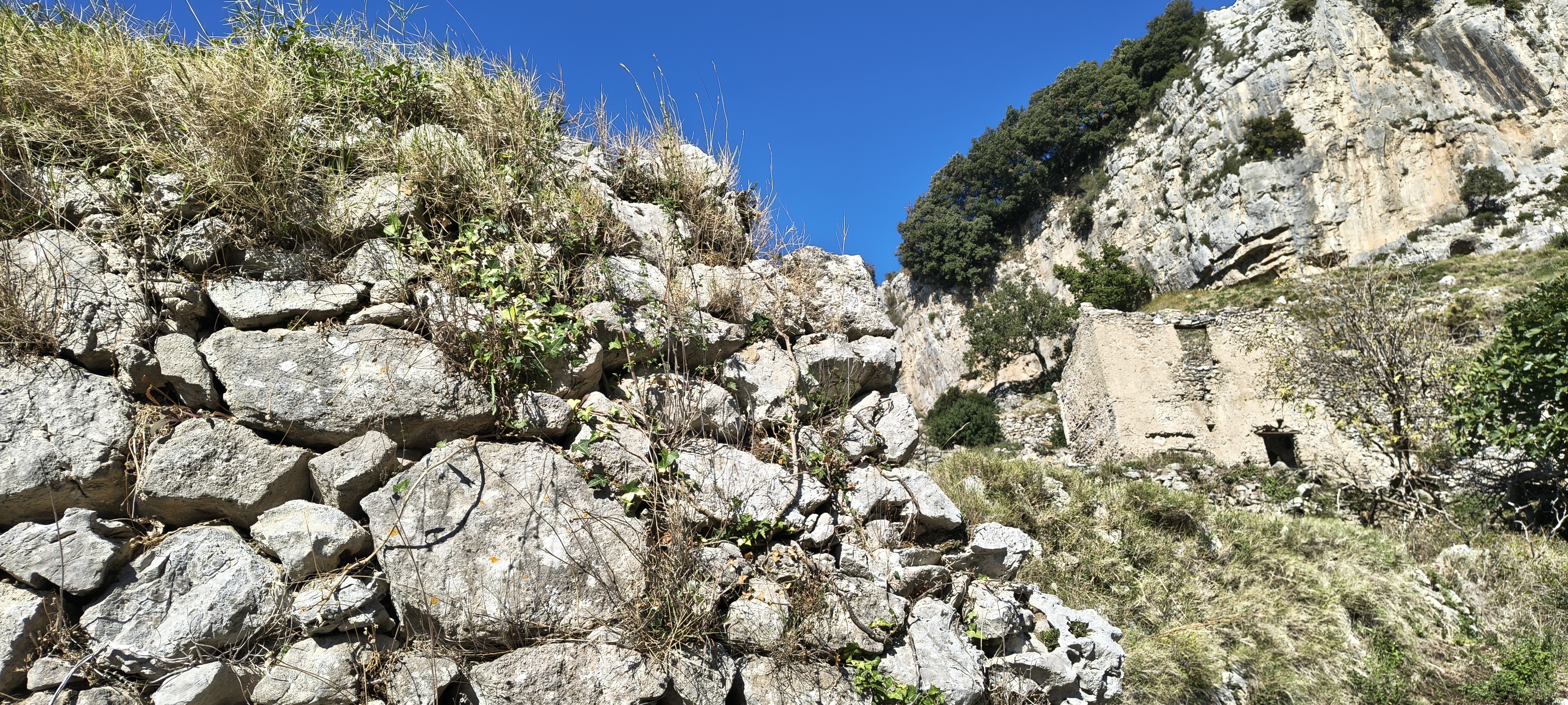 IMG 20261014 103525985 HDR
