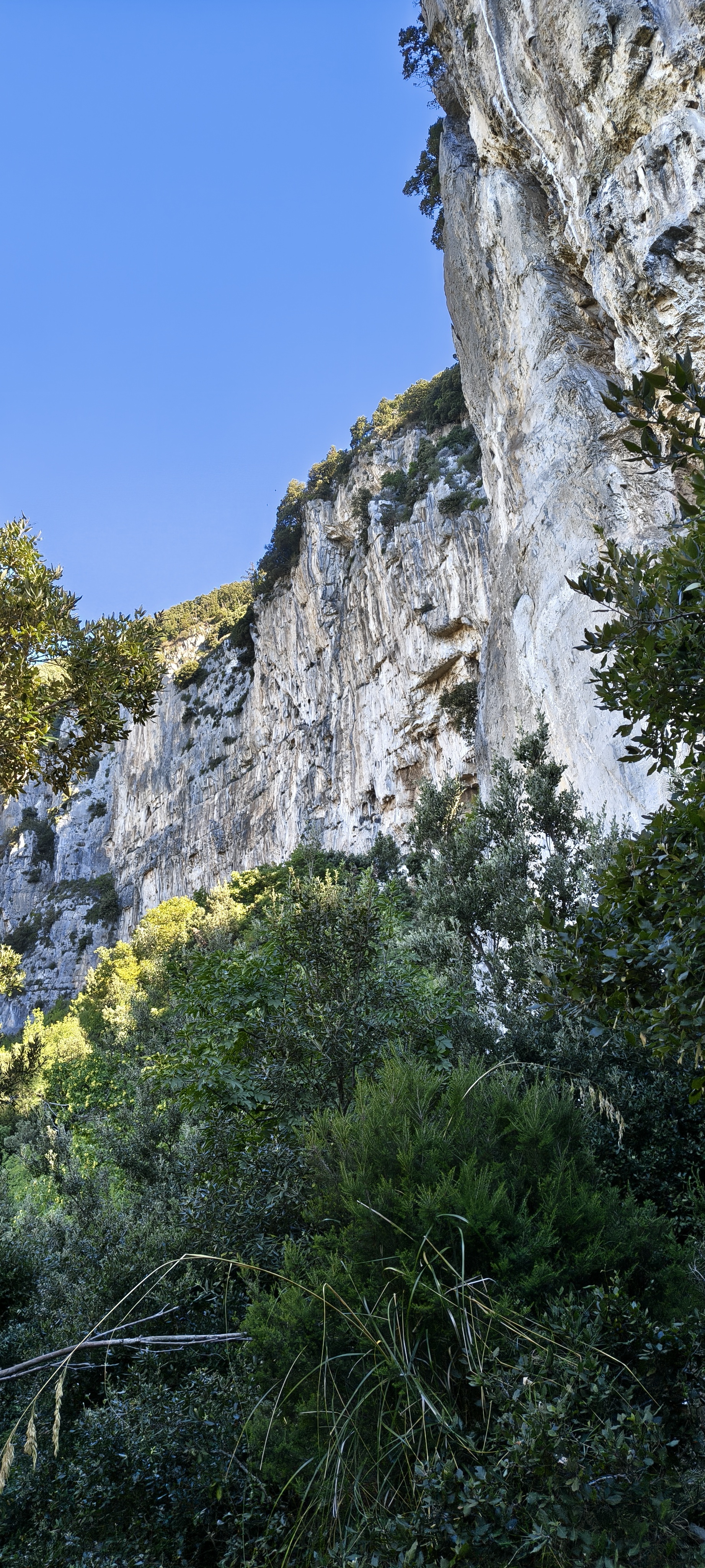 IMG 20261014 110256218 HDR