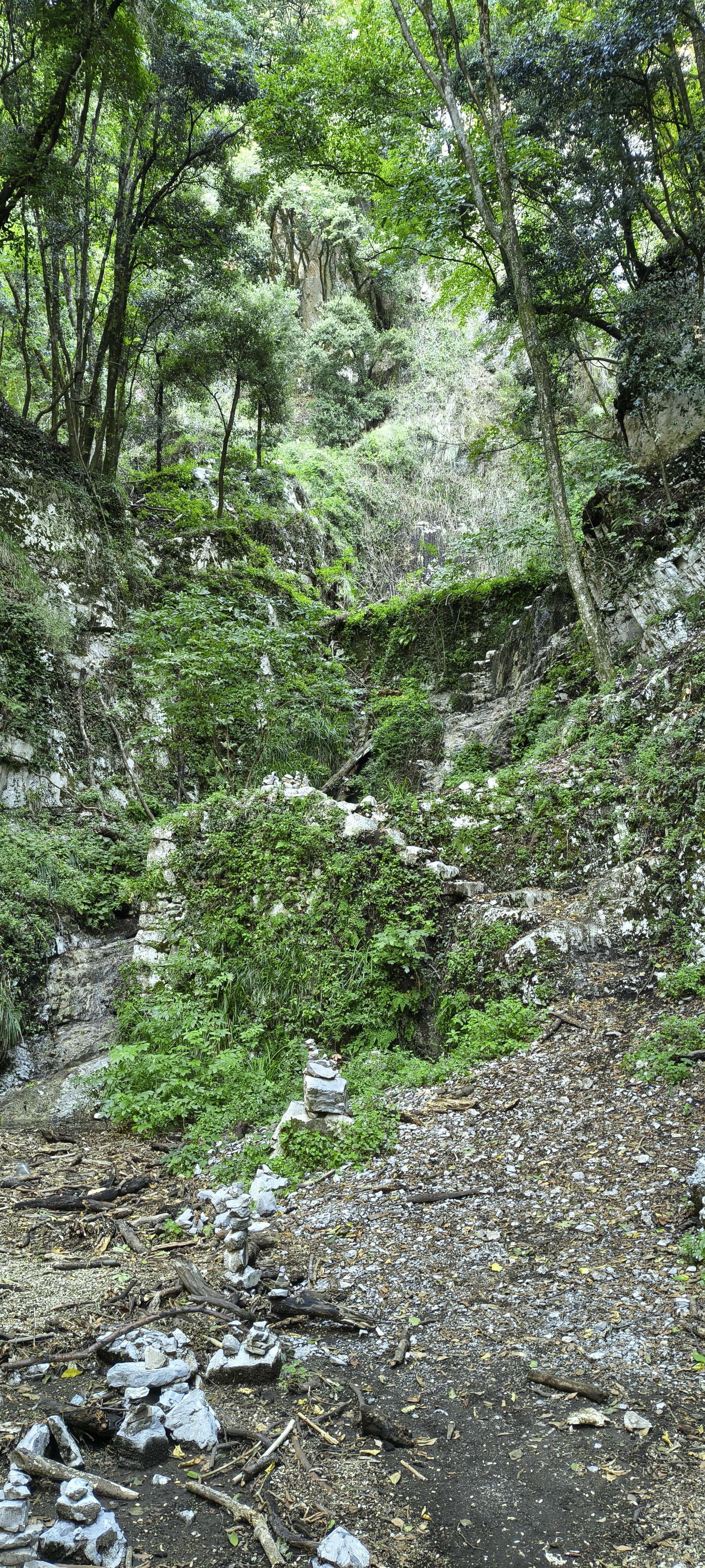 IMG 20261014 112223054 HDR