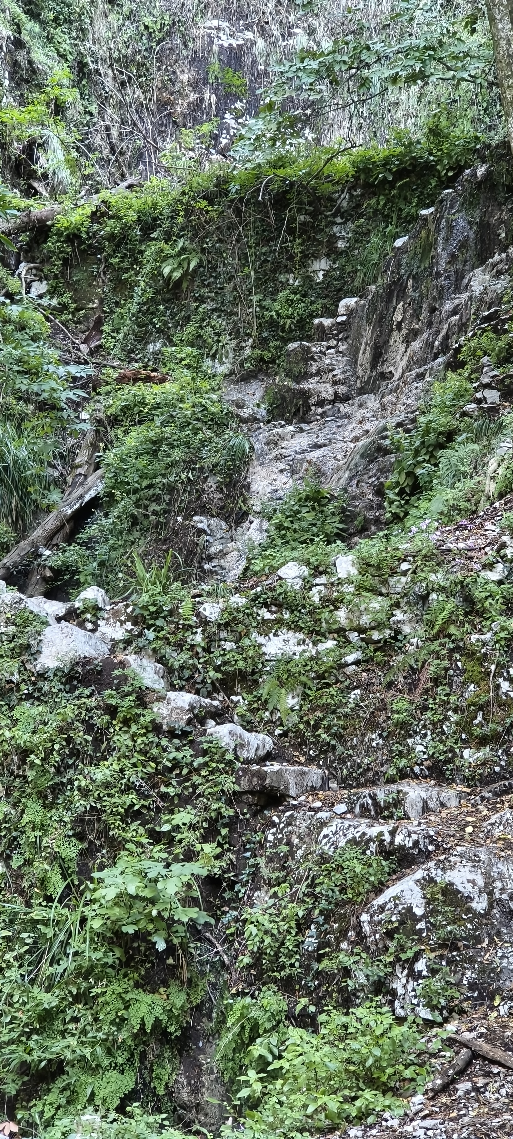 IMG 20261014 112227589 HDR