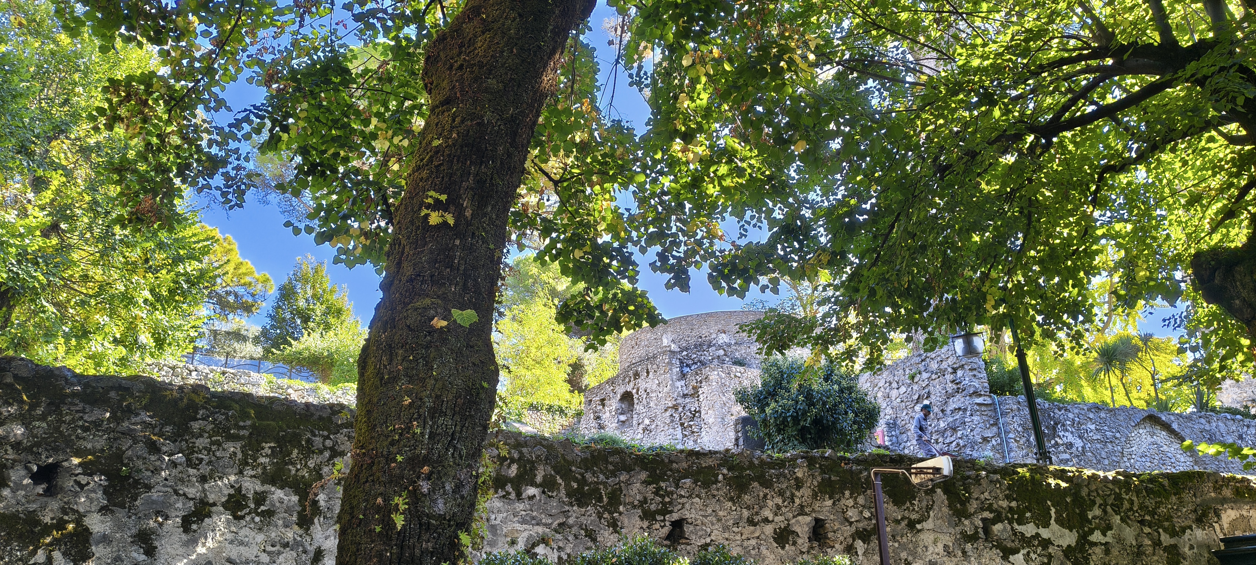 IMG 20261015 103705359 HDR