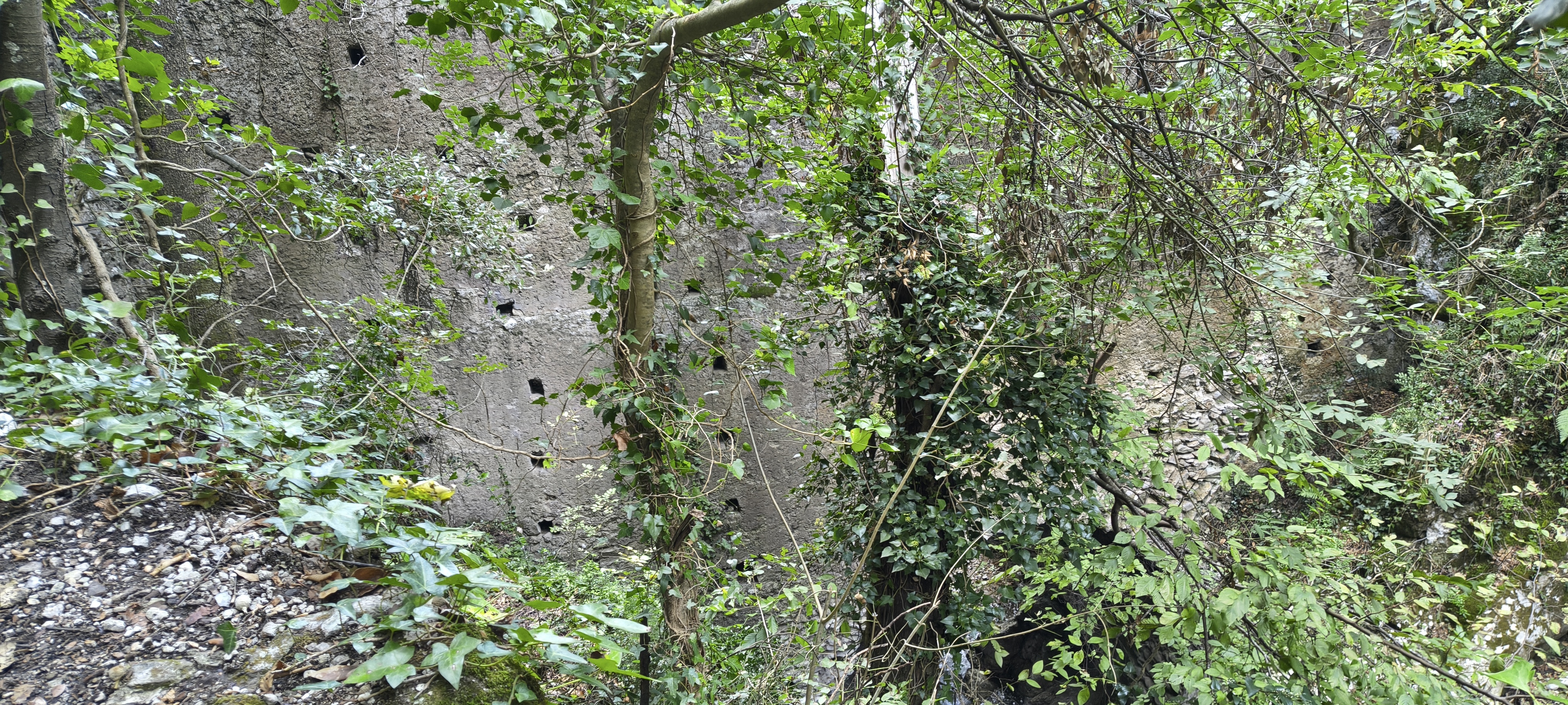IMG 20261015 152416979 HDR