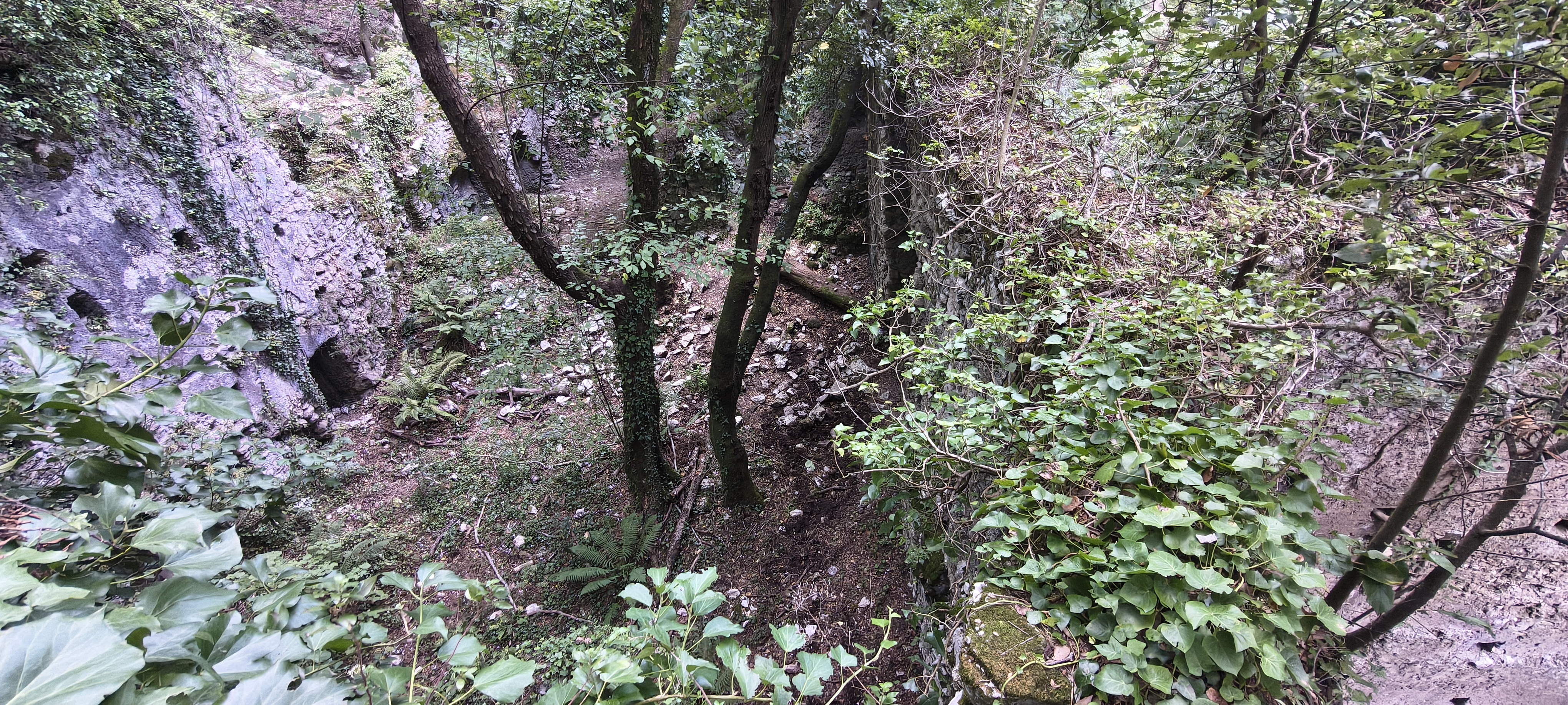 IMG 20261015 152502360 HDR